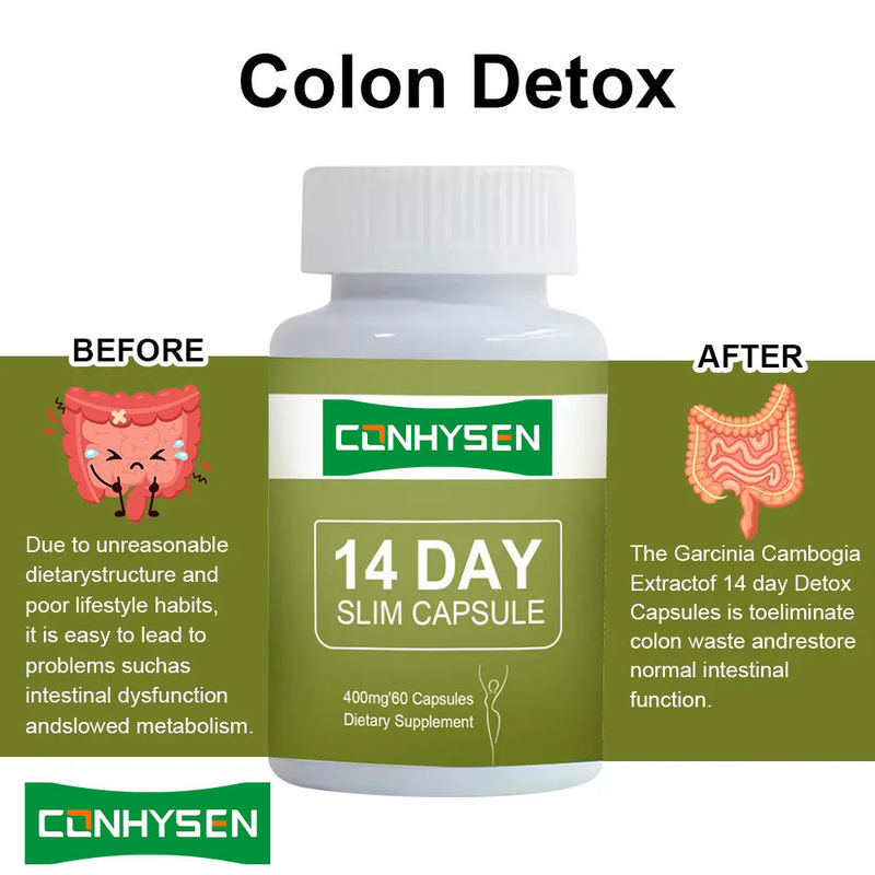 برچسب خصوصی 14 روز کپسول های لاغری Detox شکم صاف سریع با قرص گارسینیا کامبوجیا