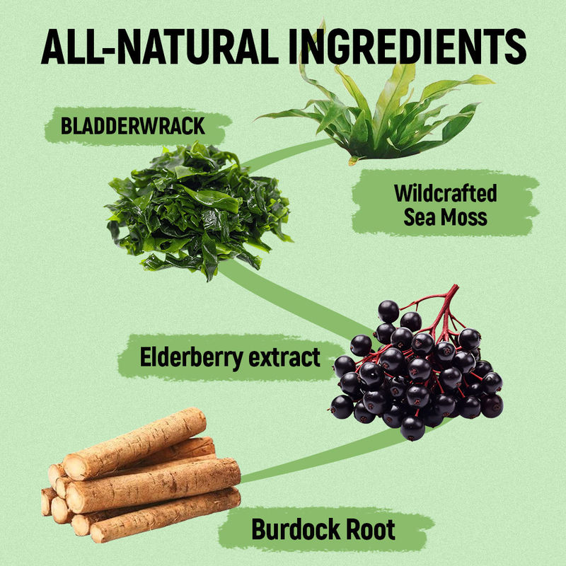 آدامس های جلبک دریایی با ویتامین C و روی، کارخانه تامین کننده برای حمایت آنتی اکسیدانی