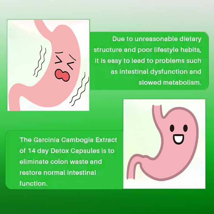 کپسول لاغری 14 روزه OEM ODM، قرص سرکوب کننده اشتها و چربی سوز سریع الاثر برای بزرگسالان، فیبر غذایی